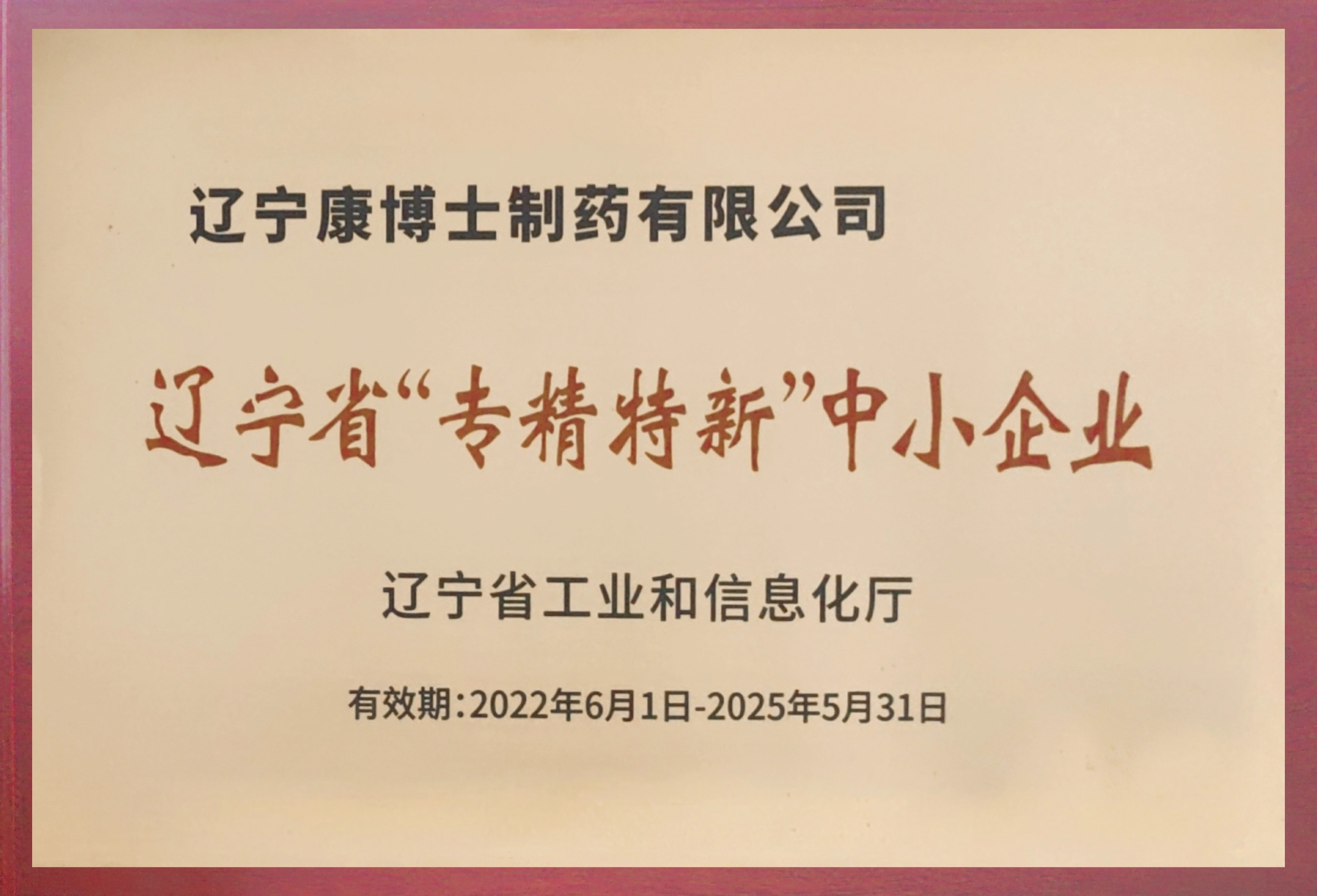 遼寧省“專精特新”中小企業
